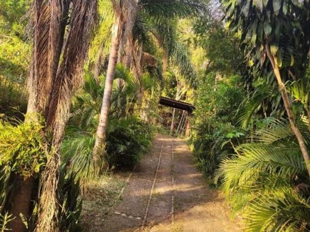 Sítio e chácara venda em Jambeiro