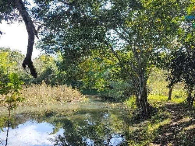 Sítio e chácara venda em Região Geográfica Imediata de Jardim, Jardim