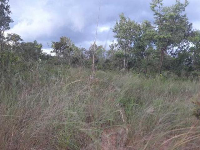 Sítio e chácara venda em Região Geográfica Imediata de Gurupi, Formoso do Araguaia