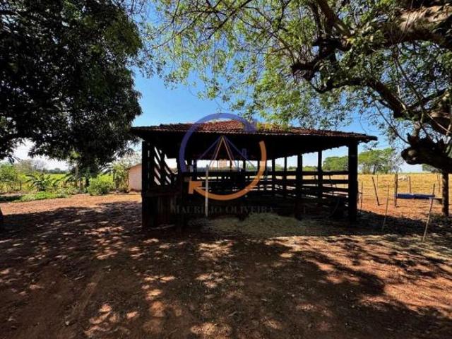 Sítio e chácara venda em Região Imediata de São José do Rio Preto, Região Metropolitana de São José do Rio Preto