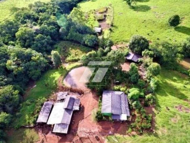 Sítio e chácara venda em Região Geográfica Imediata de Cascavel, Lindoeste