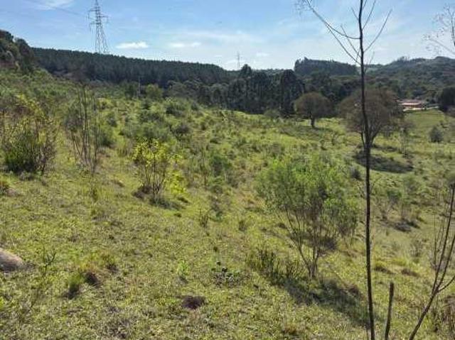 Sítio e chácara venda em Região Geográfica Imediata de Curitiba, Região Metropolitana de Curitiba