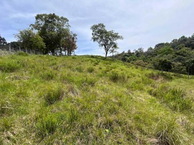 Sítio e chácara venda em Região Geográfica Imediata de Curitiba, Região Metropolitana de Curitiba