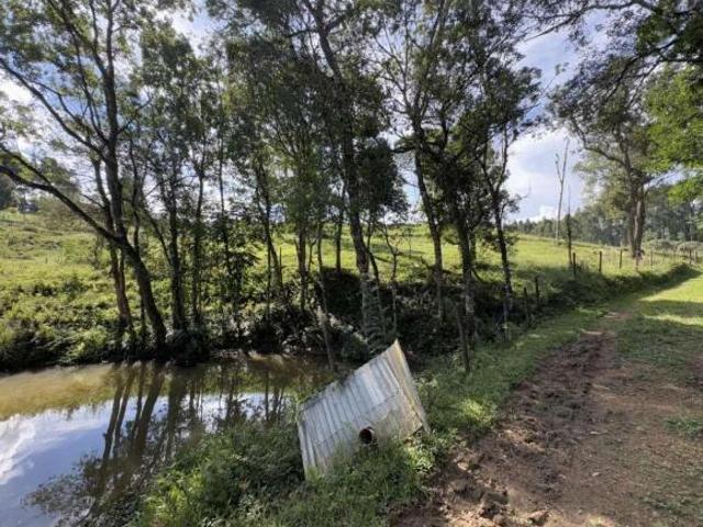 Sítio e chácara venda em Região Geográfica Imediata de Curitiba, Região Metropolitana de Curitiba