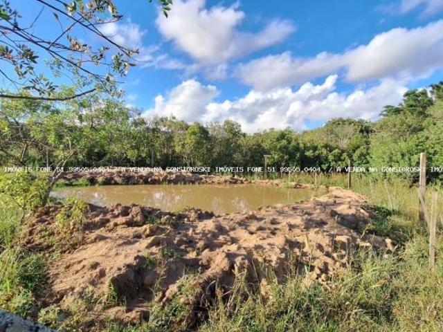 Sítio e chácara venda em Região Geográfica Imediata de Porto Alegre, Mariana Pimentel