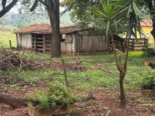 Sítio e chácara venda em Região Imediata de Presidente Prudente, Martinópolis