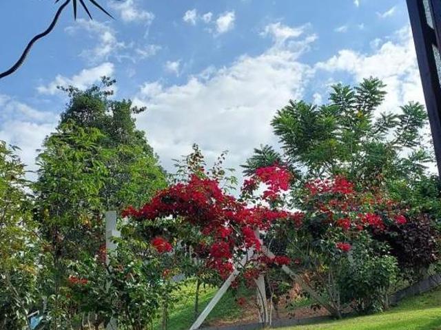 Sítio e chácara venda em Região Geográfica Imediata de Belo Horizonte, Região Metropolitana de Belo Horizonte