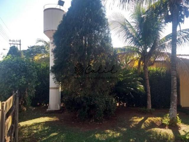 Sítio e chácara venda em Miguelópolis