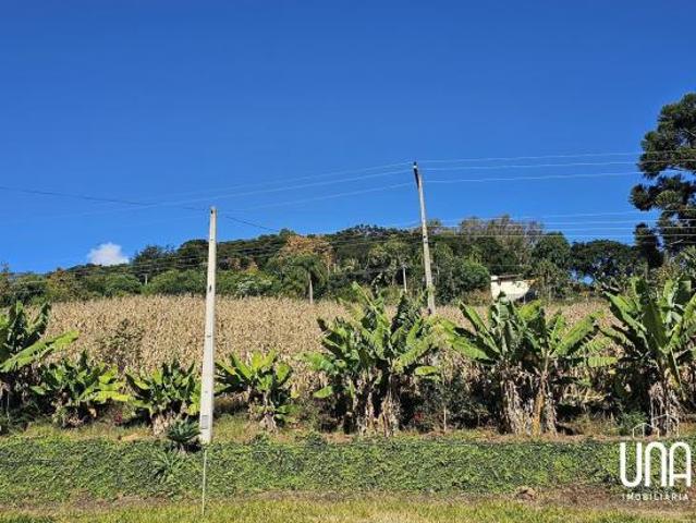 Sítio e chácara venda em Monte Belo do Sul