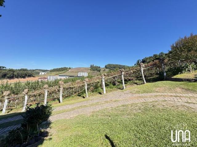 Sítio e chácara venda em Vale dos Vinhedos, Bento Gonçalves