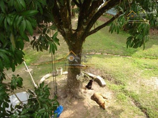 Sítio e chácara venda em Região Imediata de Campinas, Região Metropolitana de Campinas