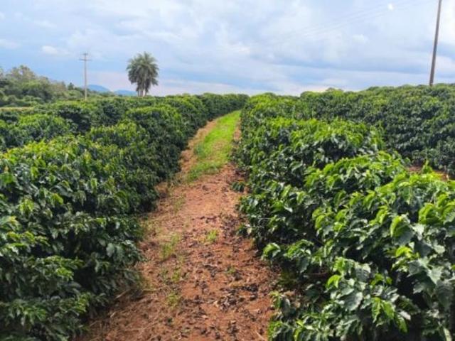 Sítio e chácara venda em Monte Santo de Minas, Região Geográfica Intermediária de Varginha