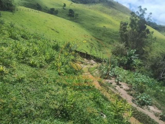 Sítio e chácara venda em Vila São Sebastião, Monteiro Lobato