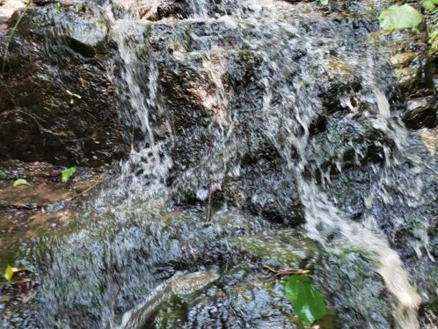 Sítio e chácara venda em Região Imediata de São José dos Campos, Região Metropolitana do Vale do Paraíba e Litoral Norte