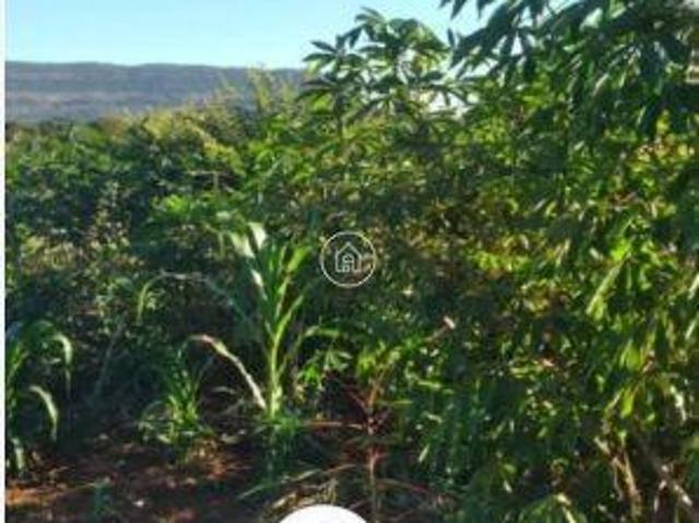 Sítio e chácara venda em Região Geográfica Imediata de Montes Claros, Montes Claros