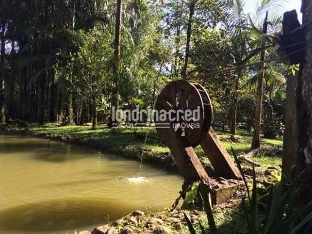 Sítio e chácara venda em Região Geográfica Imediata de Paranaguá, Morretes