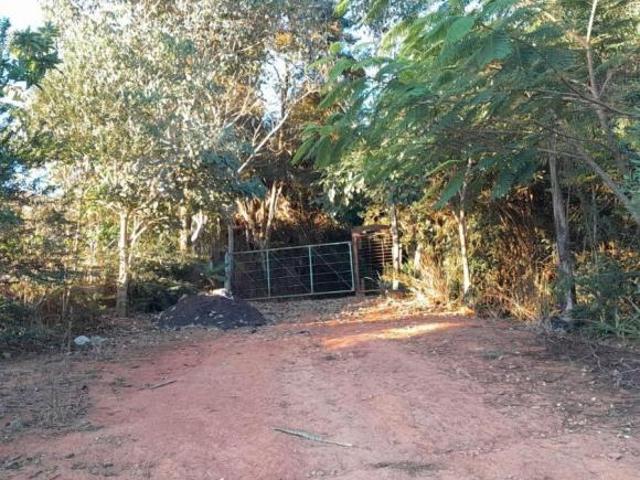 Sítio e chácara venda em Nepomuceno, Região Geográfica Intermediária de Varginha