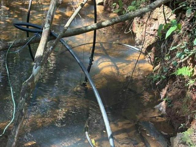 Sítio e chácara venda em Nepomuceno, Região Geográfica Intermediária de Varginha