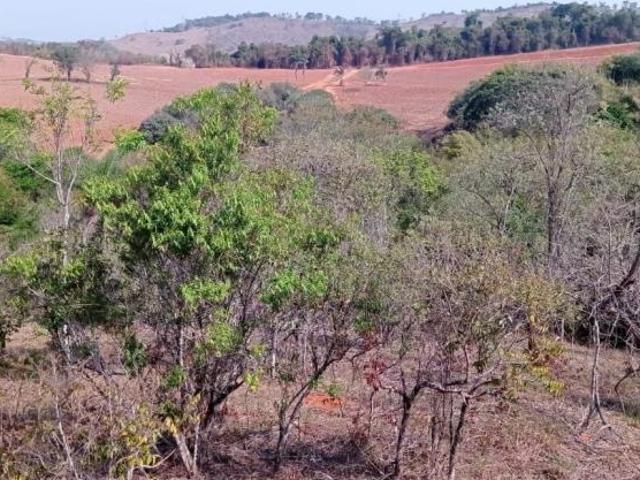 Sítio e chácara venda em Região Geográfica Imediata de Muriaé, Muriaé