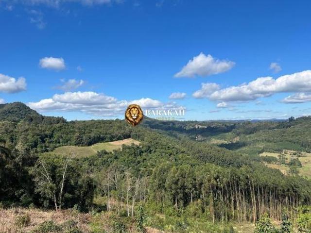 Sítio e chácara venda em Região Geográfica Imediata de Caxias do Sul, Nova Petrópolis
