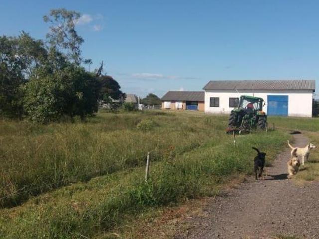Sítio e chácara venda em Região Geográfica Imediata de Porto Alegre, Região Metropolitana de Porto Alegre