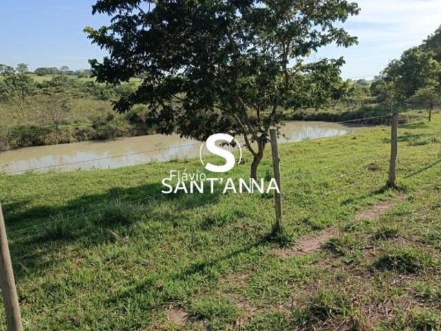 Sítio e chácara venda em Região Imediata de Fernandópolis, Ouroeste