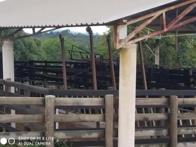 Sítio e chácara venda em Região Geográfica Imediata de Pará de Minas, Pará de Minas