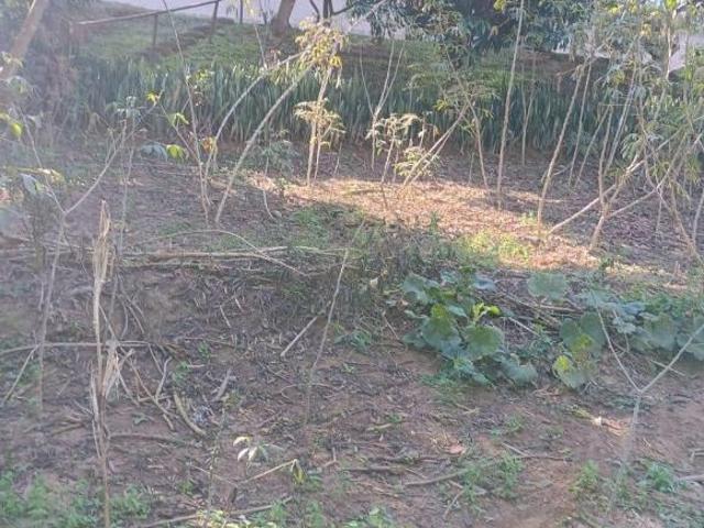 Sítio e chácara venda em Região Imediata de Ribeirão Preto, Região Metropolitana de Ribeirão Preto