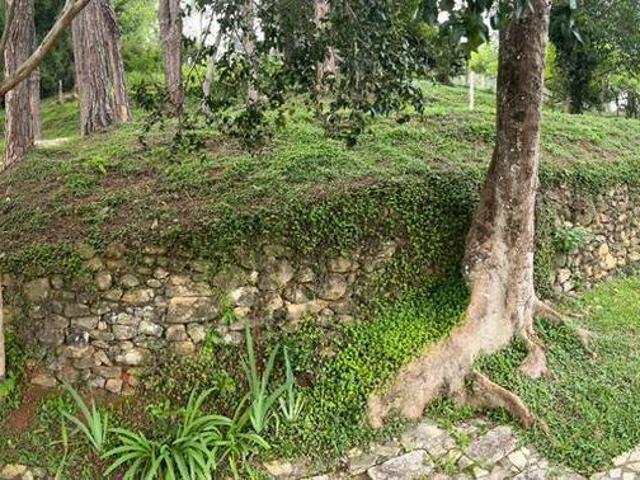 Sítio e chácara venda em Região Geográfica Imediata de São Lourenço, Passa Quatro