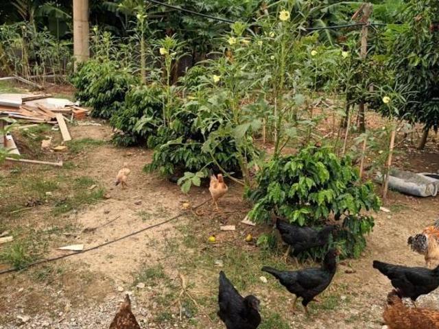 Sítio e chácara venda em Região Imediata de Sorocaba, Região Metropolitana de Sorocaba