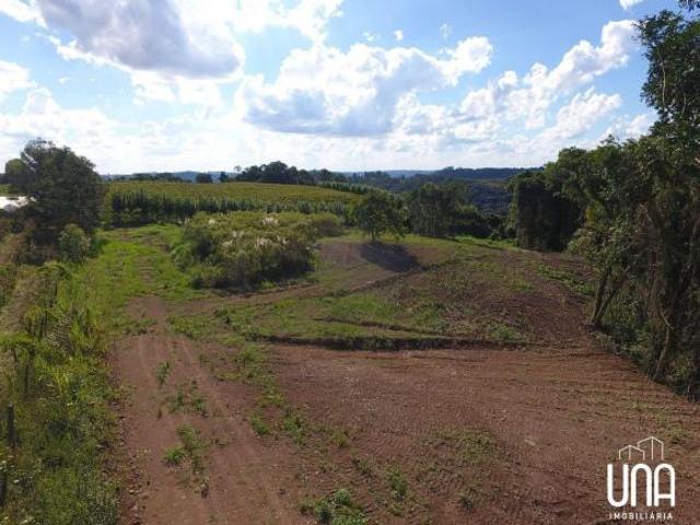 Sítio e chácara venda em Pinto Bandeira, Região Geográfica Intermediária de Caxias do Sul