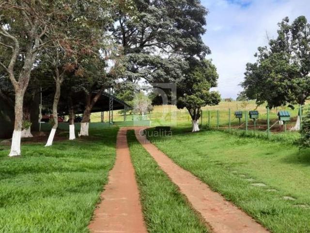 Sítio e chácara venda em Região Imediata de Piraju, Piraju