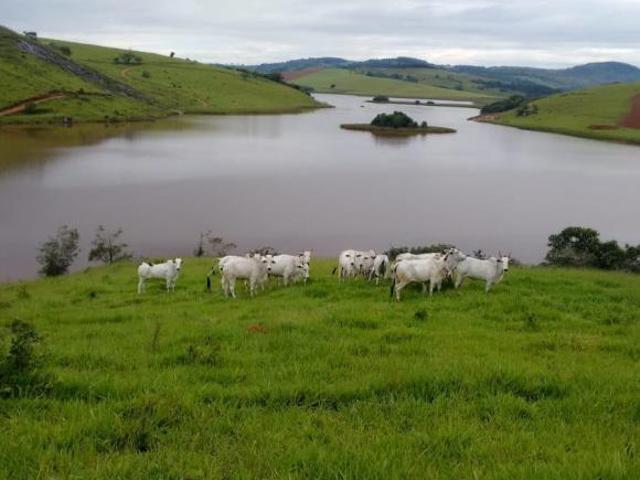 Sítio e chácara venda em Região Geográfica Imediata de Alfenas, Poço Fundo