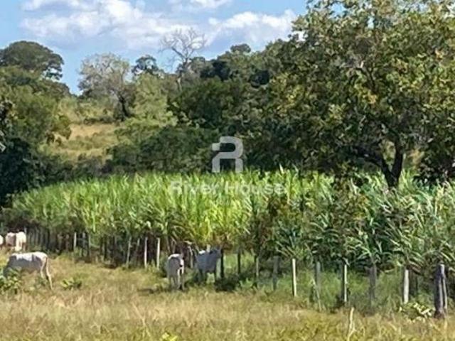 Sítio e chácara venda em Cohab Velha, Poconé
