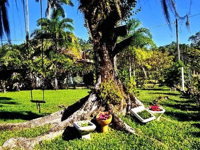 Sítio e chácara venda em Praia do Leste, Pontal do Paraná