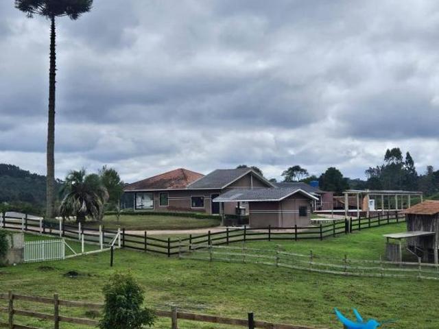 Sítio e chácara venda em Região Geográfica Imediata de Curitiba, Região Metropolitana de Curitiba