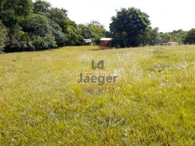 Sítio e chácara venda em Braga, Região Sul