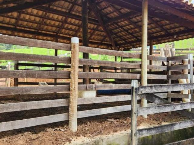 Sítio e chácara venda em Região Geográfica Imediata de Oliveira, Região Metropolitana de Belo Horizonte