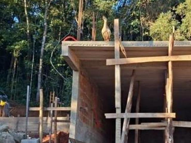 Sítio e chácara venda em Região Geográfica Imediata de Oliveira, Região Metropolitana de Belo Horizonte