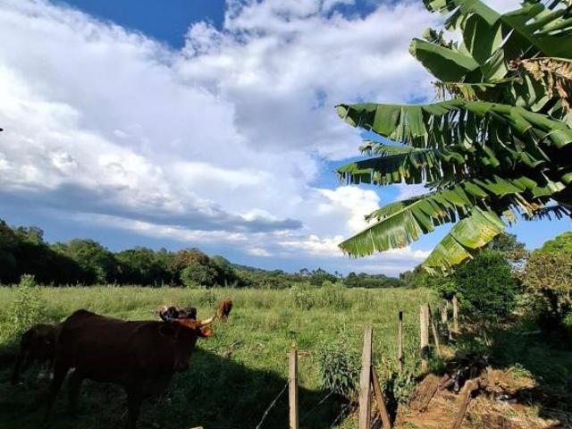 Sítio e chácara venda em Rio Pardo