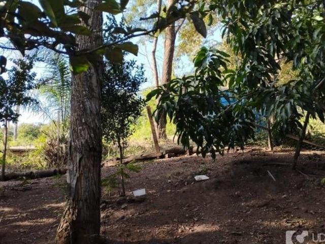 Sítio e chácara venda em Região Geográfica Imediata de Monte Carmelo, Romaria