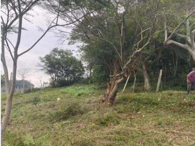 Sítio e chácara venda em Região Geográfica Imediata de Paranavaí, São Carlos do Ivaí