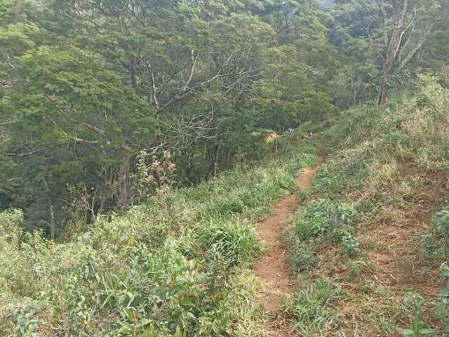 Sítio e chácara venda em Região Imediata de Campinas, Região Metropolitana de Campinas