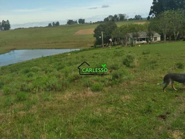 Sítio e chácara venda em Região Geográfica Imediata de São Gabriel - Caçapava do Sul, São Gabriel