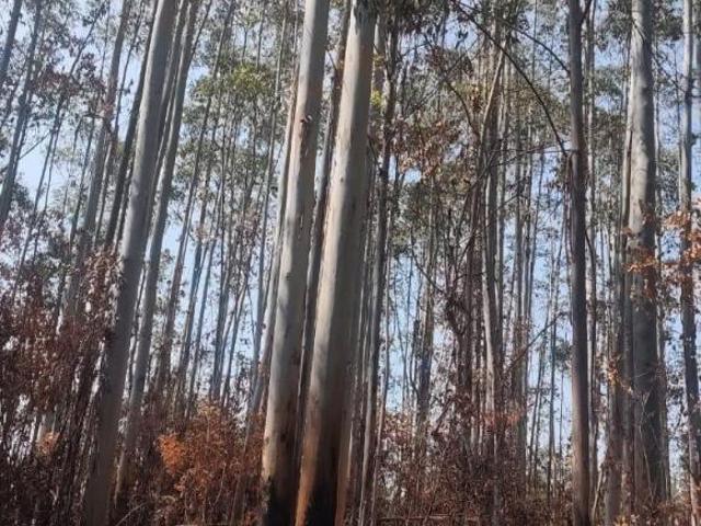Sítio e chácara venda em Região Geográfica Imediata de Pouso Alegre, São João da Mata