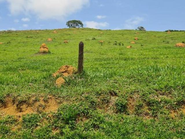 Sítio e chácara venda em Região Geográfica Imediata de Teófilo Otoni, Nanuque