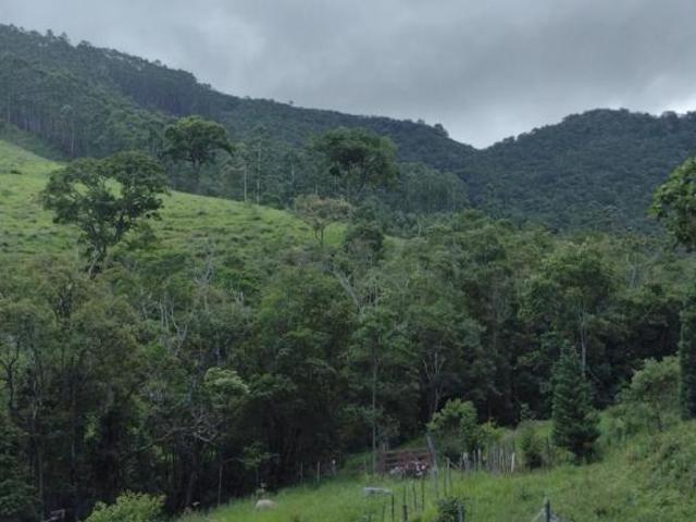 Sítio e chácara venda em Região Imediata de Taubaté-Pindamonhangaba, Região Metropolitana do Vale do Paraíba e Litoral Norte
