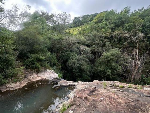 Sítio e chácara venda em Região Geográfica Imediata de Santa Maria, São Martinho da Serra