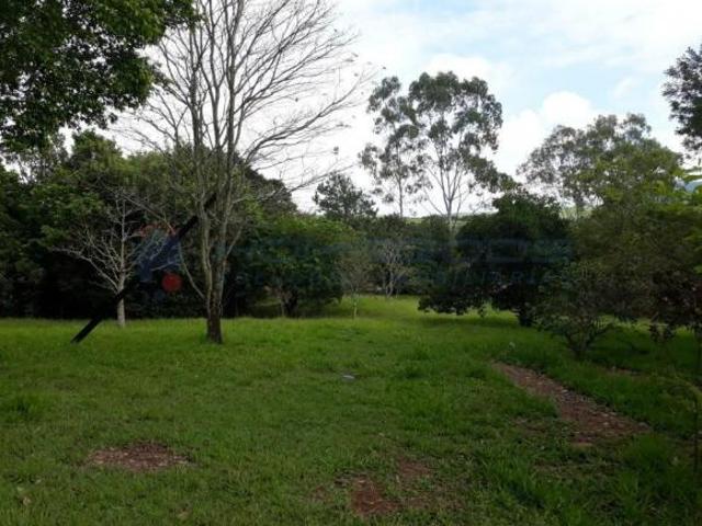 Sítio e chácara venda em São Pedro