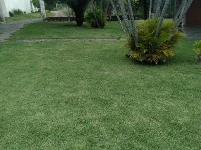 Sítio e chácara venda em Região Imediata de Sorocaba, Região Metropolitana de Sorocaba